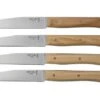 Opinel Facette Ash, Kitchen Knife Set 4 Pieces
